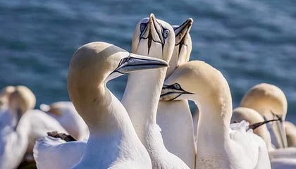 ac米兰官网-CBA联盟推动多层级联赛构建完整体系，cba篮球联赛是什么意思