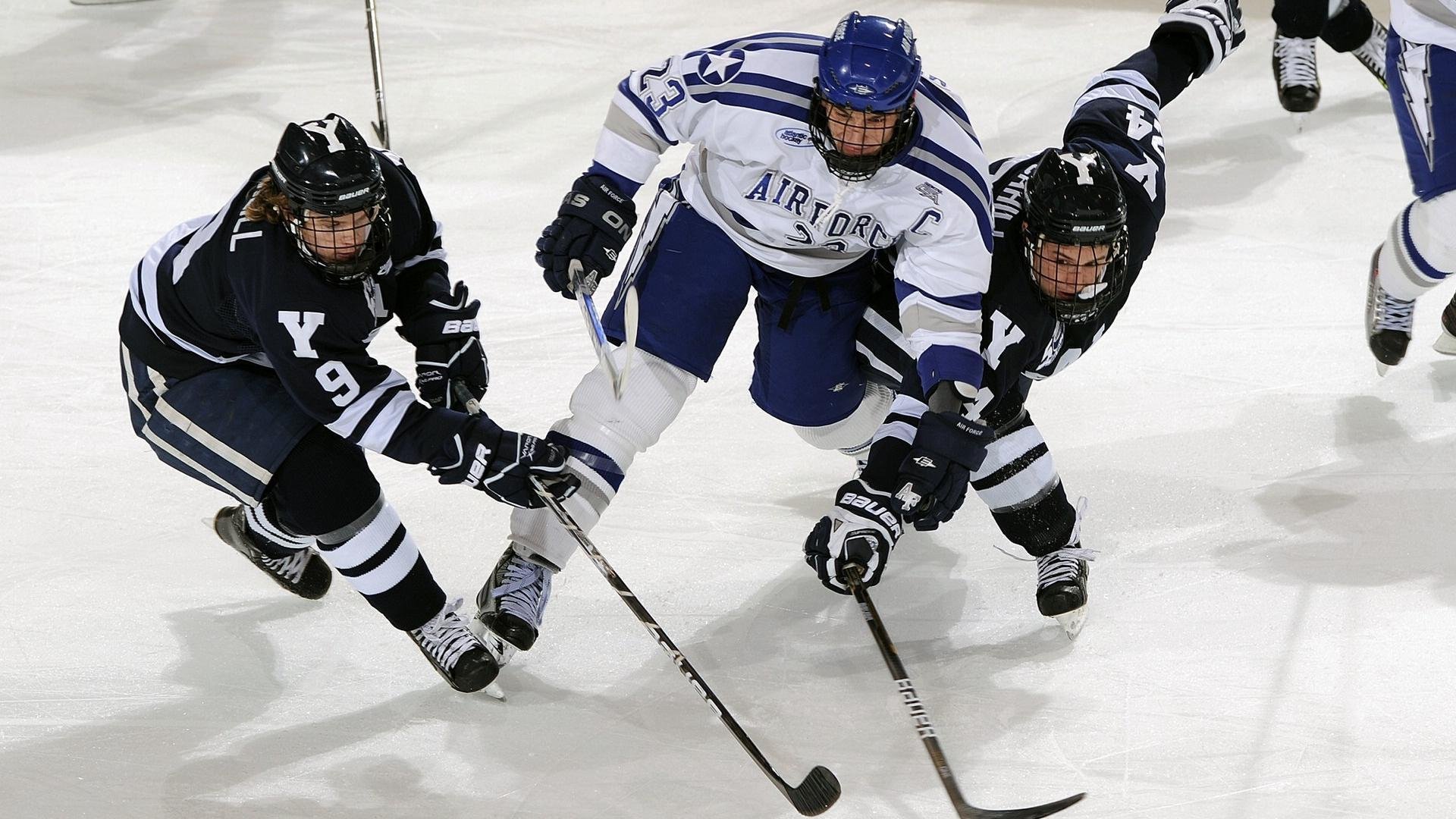 体育激情永不停止